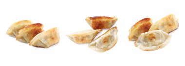 Beyaz arka planda kızarmış gyoza (hamur tatlısı), kolaj