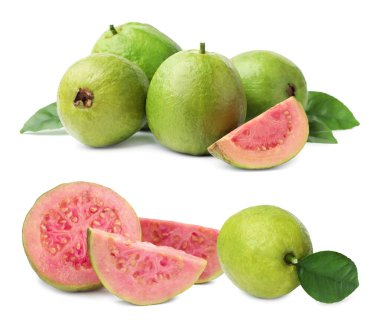 Beyaz arka planda taze guava meyveleri, kolaj