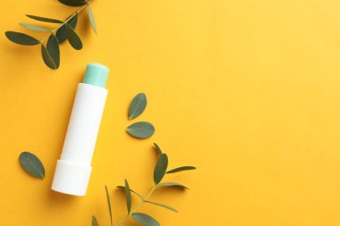 Dudak kremi ve okaliptüs yaprakları sarı arka planda, düz yerde. Metin için boşluk