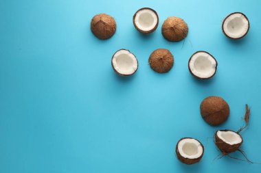 Açık mavi arka planda taze hindistan cevizleri, düz bir zemin. Metin için boşluk