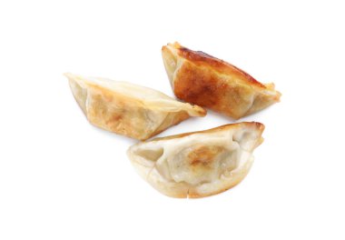 Lezzetli kızarmış gyoza hamur köfteleri.