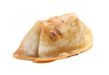 Bir kızarmış gyoza hamur tatlısı, beyaz üzerine izole edilmiş.