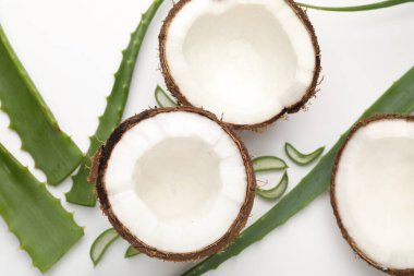 Saç tedavisi. Beyaz arka planda hindistan cevizi ve aloe yaprakları düz.