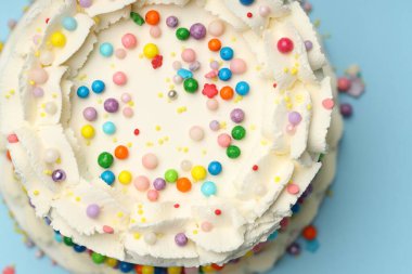 Nefis bento keki, açık mavi masa üzerine renkli serpiştirilmiş, üst manzara.