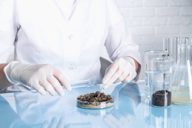 Laboratuvar testi. Bilim adamı kapalı bir masadaki kum örneğine sıvı döküyor.