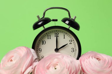 Bahar geldi. Alarm saati ve yeşil arka planda güzel ranunculus çiçekleri, yakın plan.