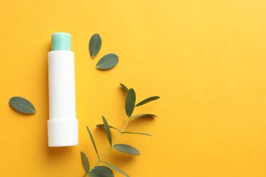 Dudak kremi ve okaliptüs yaprakları sarı arka planda, düz yerde. Metin için boşluk