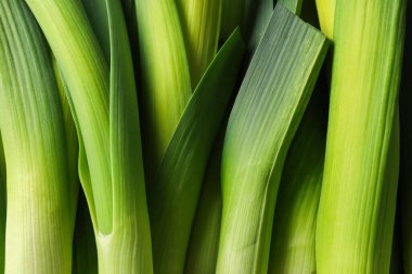 Arkaplan olarak taze yeşil pırasa, üst görünüm