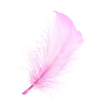 Bir tüylü pembe tüy beyaza izole edilmiş.