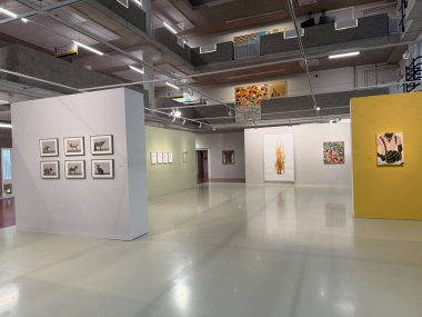 Leiden, Hollanda - 10 Aralık 2024: Leiden Üniversitesi Tıp Merkezi 'nde şık tablolar