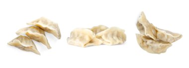Beyaz arka planda kaynamış gyoza (hamur tatlısı), kolaj