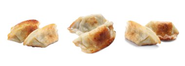 Beyaz arka planda lezzetli kızarmış gyoza (hamur tatlısı), hazır