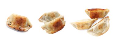 Beyaz arka planda kızarmış gyoza (hamur tatlısı), kolaj