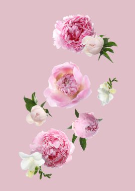 Pembe arka plana düşen güzel taze çiçekler