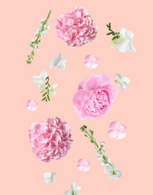 Bej arkaplana düşen güzel taze çiçekler