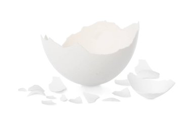 Beyaz arka planda kırılmış yumurta kabuğu parçaları.