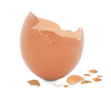 Beyaz arka planda kırılmış kahverengi yumurta kabuğu parçaları.