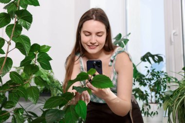 Akıllı telefondan ev bitkisi tanıma uygulaması kullanan bir kadın.