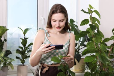 Akıllı telefondan ev bitkisi tanıma uygulaması kullanan bir kadın.