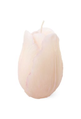 Güzel bir çiçek şekilli mum beyaz üzerine izole edilmiş.