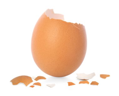 Beyaz arka planda kırılmış kahverengi yumurta kabuğu parçaları.