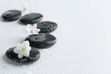 Islak spa taşları ve beyaz arka planda güzel çiçekler, yakın plan. Metin için boşluk
