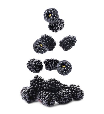 Fresh blackberries falling onto pile on white background