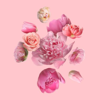 Pembe arka plana düşen güzel taze çiçekler