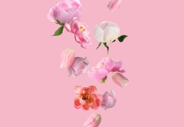 Pembe arka plana düşen güzel taze çiçekler
