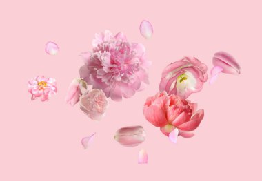 Pembe arka plana düşen güzel taze çiçekler