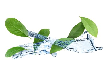 Fresh green leaves and splashing water in air on white background