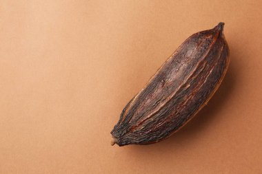 Kahverengi arka planda kakao kabuğu, üst görünüm