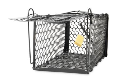 Bir metal fare tuzağı ve beyaz bir yem.