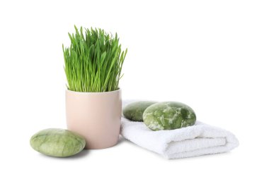 Spa composition with wheatgrass isolated on white