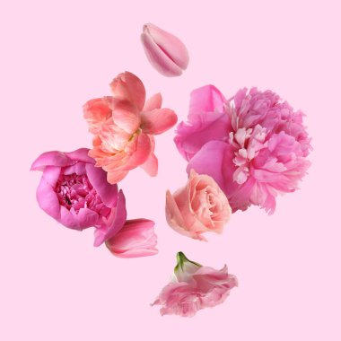 Pembe arka plana düşen güzel taze çiçekler