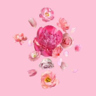 Pembe arka plana düşen güzel taze çiçekler