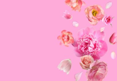 Pembe arkaplana düşen güzel taze çiçekler, metin için alan