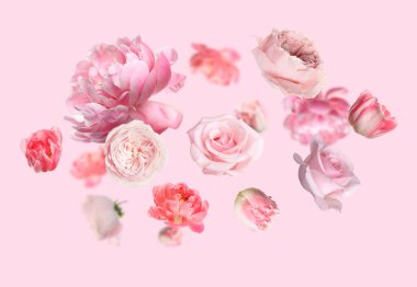 Pembe arka plana düşen güzel taze çiçekler