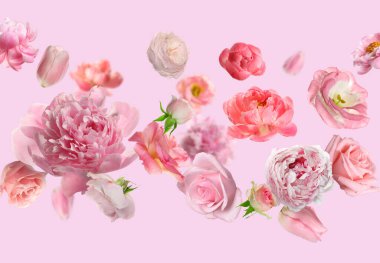 Pembe arka plana düşen güzel taze çiçekler