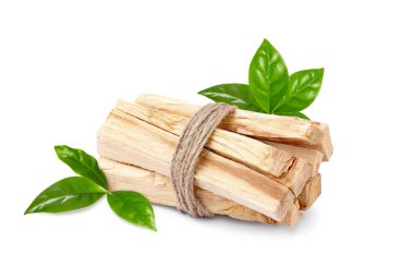Palo santo sticks with fresh green leaves on white background
