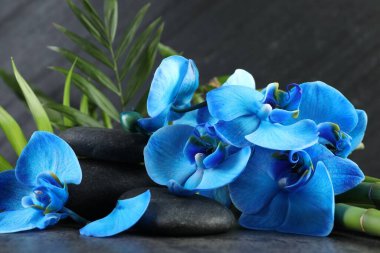 Güzel mavi orkide çiçekleri, bambu sapları, yeşil yapraklar ve gri masadaki spa taşları, yakın plan.