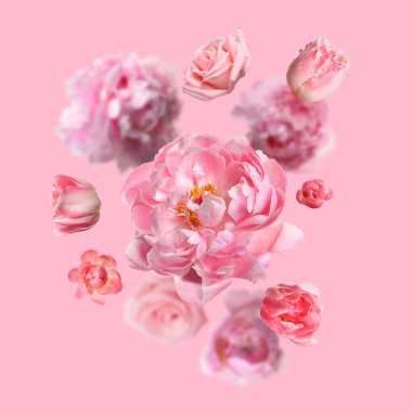 Pembe arka plana düşen güzel taze çiçekler