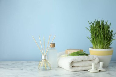 Spa composition with wheatgrass on white marble table. Space for text