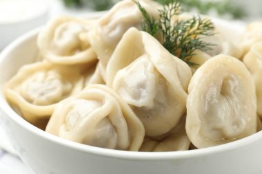 Tasty dumplings and dill in bowl, closeup