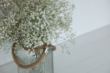 Beautiful gypsophila flowers in vase on white table, closeup. Space for text