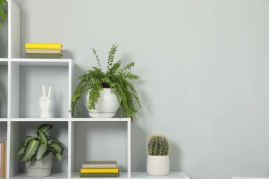 Shelving unit with green houseplants and other decor near light grey wall indoors, space for text