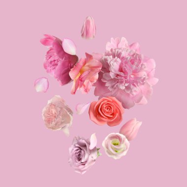 Pembe arka plana düşen güzel taze çiçekler