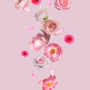 Pastel pembe arka plana düşen güzel taze çiçekler.