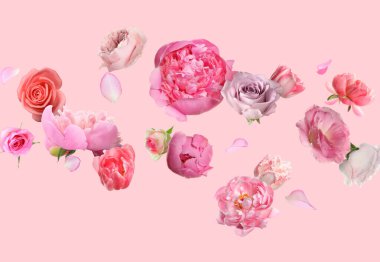 Pembe arka plana düşen güzel taze çiçekler