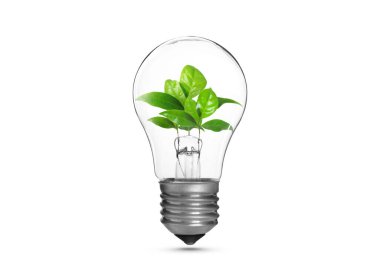 Light bulb with fresh leaves inside in air on white background. Concepts of eco-friendly environment and saving energy